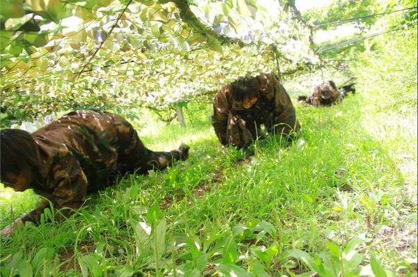 乾港集團,乾港官網(wǎng),乾港網(wǎng)絡(luò ),室內空氣凈化公司