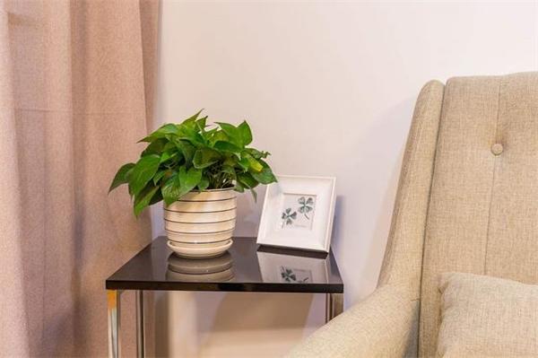 乾港集團,乾港官網(wǎng),乾港網(wǎng)絡(luò ),室內空氣凈化公司